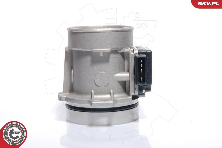 Mass Air Flow Sensor